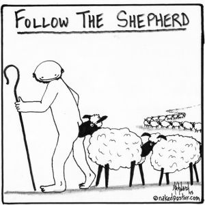 follow-the-shepherd