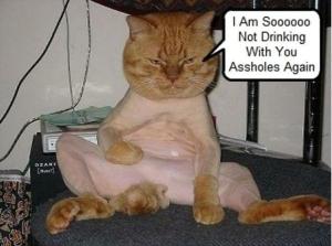 drunk-cat-funny