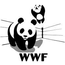 WWF-panda-wrestling.jpg