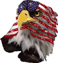 eagle glitter